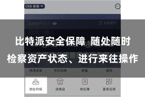 比特派安全保障  随处随时检察资产状态、进行来往操作